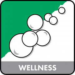 Wellness Service Wellness
